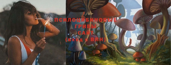 дживик Армянск