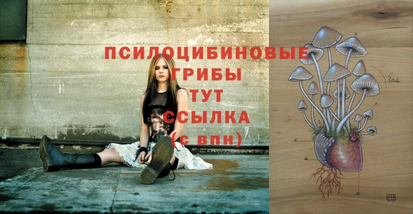 дживик Армянск