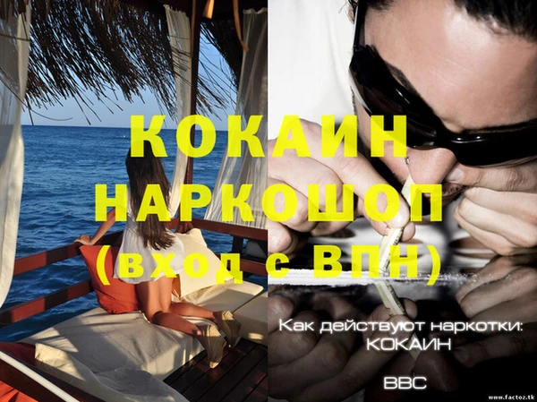 стафф Аркадак